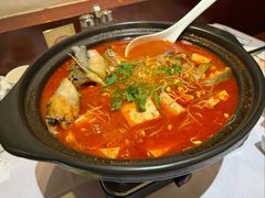 酸汤鱼-贵州大厦贵州厅(樱花园西街店)