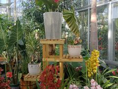 -国家植物园南园