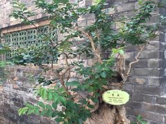 -东莞市可园博物馆