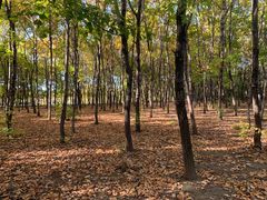 -长春市南湖公园