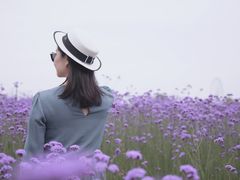 -山明水秀大饭店