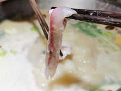 营养奶汤锅底-七秒鱼·斑鱼火锅(太阳城店)