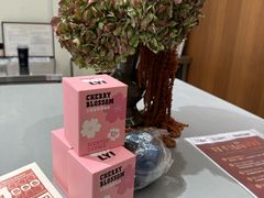 -X88商场(铜仁路店)