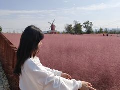 -羊亭河湿地公园