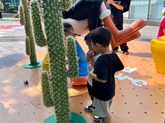 -东莞松山湖万象汇