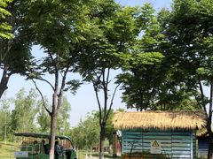 -西安浐灞国家湿地公园