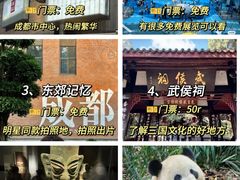 -成都大熊猫繁育研究基地