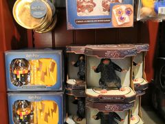 产品-九又四分之三站台哈利波特商店