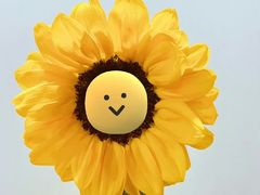 -启德考培雅思托福留学(香洲校区)