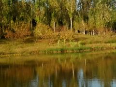 -东郊湿地公园