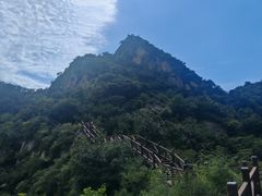 -大岭沟猕猴桃谷风景区