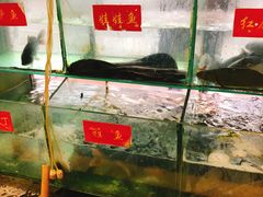 水产区-干老四雅鱼饭店(滨江西路店)