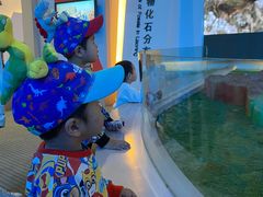 -辽宁古生物博物馆