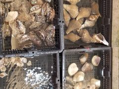 -仁西海鲜酒楼(振东店)