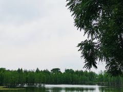 -白鹭湾湿地公园