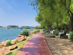 -丁香湖公园