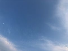 -南山植物园