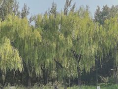 -WhaleSports户外水上运动俱乐部(朝阳公园店)