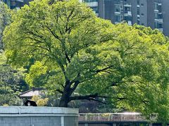 -苏州河梦清园环保主题公园