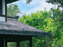 -三垟湿地