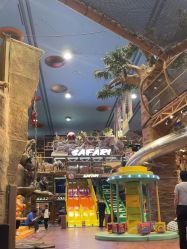 -卡通尼·Safari非洲探索乐园·生日会(金桥国际商业广场店)