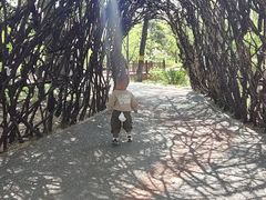 -莲花池公园