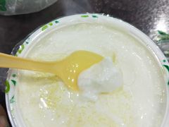 -德禄酸奶(莫家街店)