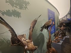 -陕西自然博物馆