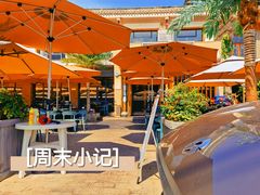 -都江堰石锅鱼