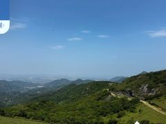 -大姆山草场