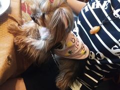 -希尔顿逸林酒店·中餐厅