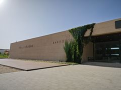 -恩格贝生态旅游区