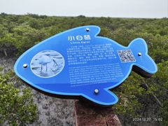 -北海金海湾红树林生态旅游区