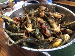 -金海椒罐罐鲢鱼(东方桂苑店)