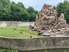 -合肥野生动物园
