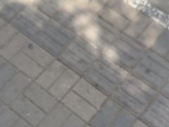 -迎泽公园