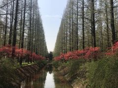 -上海怡沁园度假酒店