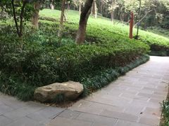 -杭州半山国家森林公园