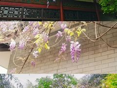 -柳侯公园