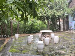 -荣德灶台鱼(圣泉寺店)