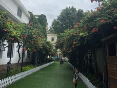 -北京市圣克弗斯幼儿园·Think first(月亮河校区)