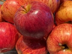 -碧中海汤泉汗蒸酒店