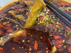 -新繁老號豌豆汤饭店·江湖菜(宝光寺店)