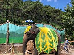 -大连森林动物园