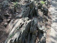 -云龙山