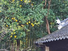 -汇龙潭