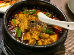 -陈麻婆豆腐总店