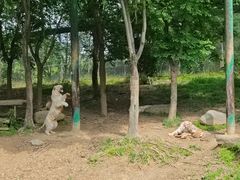-常州淹城野生动物世界