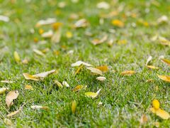 -重庆市江北嘴中央商务区中央公园