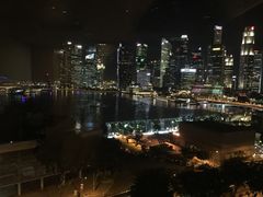 -新加坡文华东方酒店